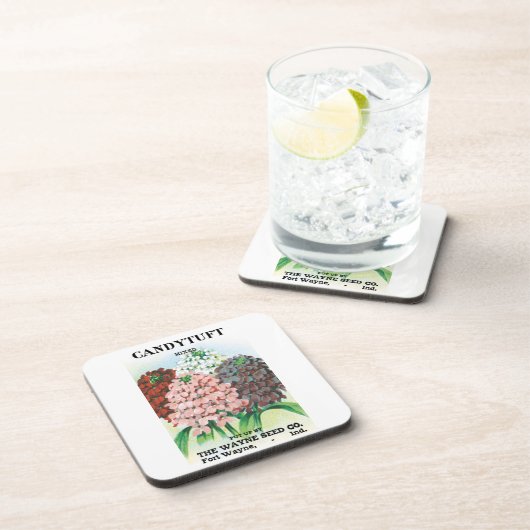 ヴィンテージシードパケットアート、キャンディトゥフトガーデンフラワー コースター (右側)