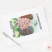 ヴィンテージシードパケットアート、キャンディトゥフトガーデンフラワー 長方形シール (封筒)