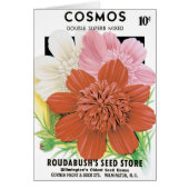 ヴィンテージシードパケットアート、コスモスガーデンフラワー (正面)