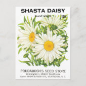 ヴィンテージシードパケットアート、シャスタデイジーフラワーズ ポストカード (正面)