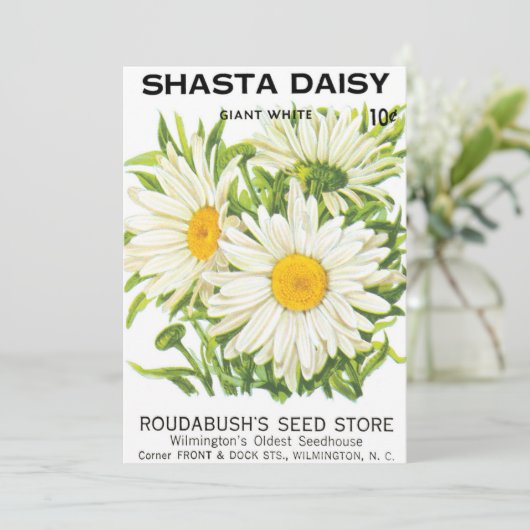 ヴィンテージシードパケットアート、シャスタデイジー花 (スタンド正面)