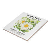 ヴィンテージシードパケットアート、シャスタデイジー花 タイル (側面)