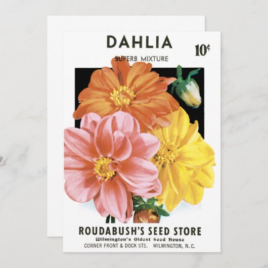 ヴィンテージシードパケットアート、ダリアガーデンフラワー (正面/裏面)