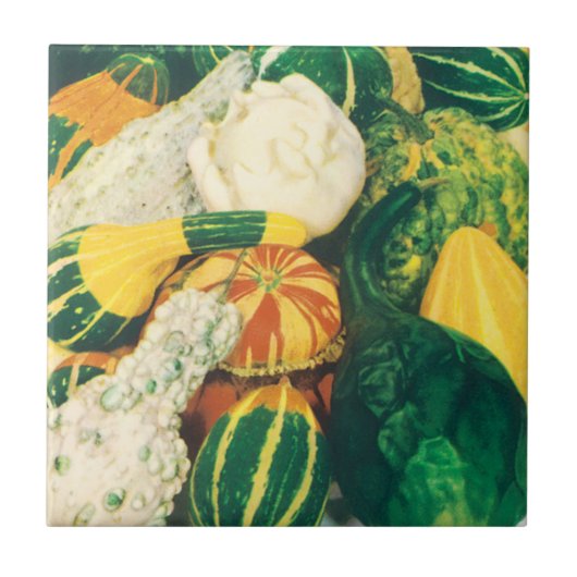 ヴィンテージシードパケットアート、混合グルズカボチャ タイル (正面)