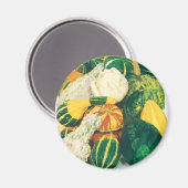 ヴィンテージシードパケットアート、混合グルズカボチャ マグネット (正面/裏面)