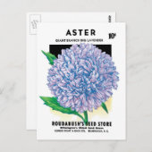 ヴィンテージシードパケットアート、紫色のアスター花 ポストカード (正面/裏面)