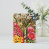 ヴィンテージシードパケットカタログカード、郵便料金、ギフト ポストカード (スタンド正面)