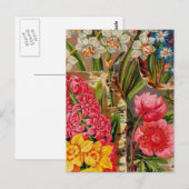 ヴィンテージシードパケットカタログカード、郵便料金、ギフト ポストカード (正面/裏面)