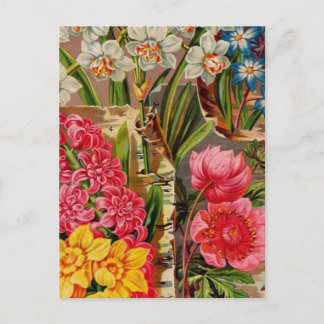 ヴィンテージシードパケットカタログカード、郵便料金、ギフト ポストカード