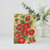 ヴィンテージシードパケットカタログカード、郵便料金、ギフト ポストカード (スタンド正面)