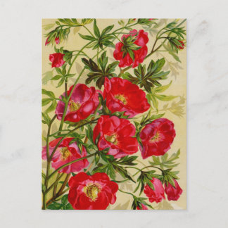 ヴィンテージシードパケットカタログカード、郵便料金、ギフト ポストカード