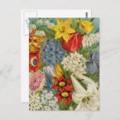 ヴィンテージシードパケットカタログカード、郵便料金、ギフト ポストカード (正面/裏面)