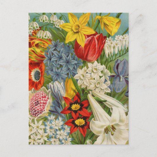 ヴィンテージシードパケットカタログカード、郵便料金、ギフト ポストカード (正面)