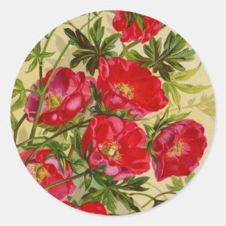 ヴィンテージシードパケットカタログカード、郵便料金、ギフト ラウンドシール