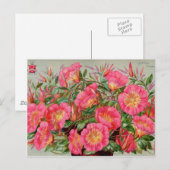 ヴィンテージシードパケットカード、郵便料金およびギフト ポストカード (正面/裏面)