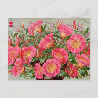 ヴィンテージシードパケットカード、郵便料金およびギフト ポストカード