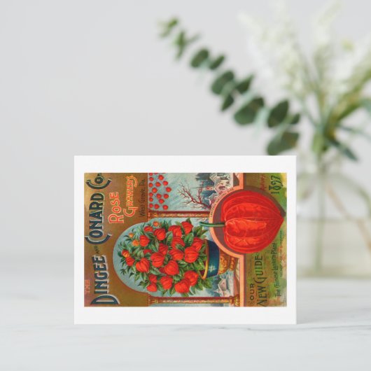 ヴィンテージシードパケットポストカード。 ポストカード (スタンド正面)