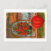 ヴィンテージシードパケットポストカード。 ポストカード (正面)