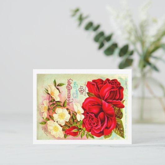 ヴィンテージシードパケットポストカード。 ポストカード (スタンド正面)