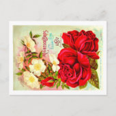 ヴィンテージシードパケットポストカード。 ポストカード (正面)