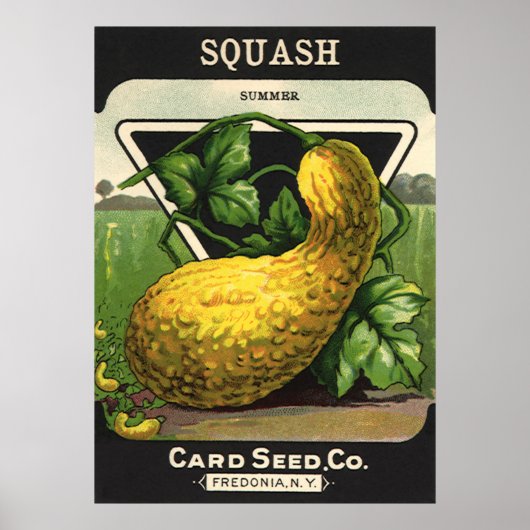 ヴィンテージシードパケットラベルアートイエローサマースカッシュ ポスター (正面)