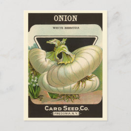 ヴィンテージシードパケットラベルアートホワイトバミューダオニオン ポストカード
