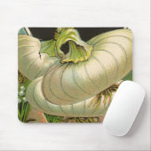 ヴィンテージシードパケットラベルアートホワイトバミューダオニオン マウスパッド (マウス)