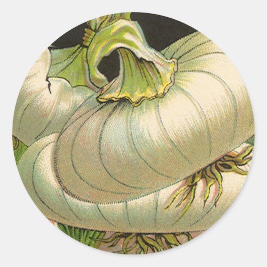 ヴィンテージシードパケットラベルアートホワイトバミューダオニオン ラウンドシール (正面)