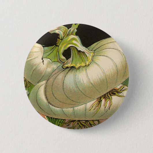 ヴィンテージシードパケットラベルアートホワイトバミューダオニオン 缶バッジ (正面)