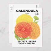 ヴィンテージシードパケットラベルアート、カレンダフラワー ポストカード (正面/裏面)