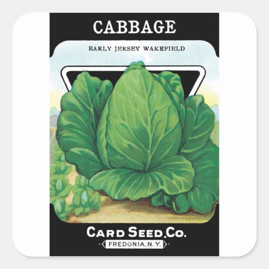 ヴィンテージシードパケットラベルアート、グリーンキャベツ スクエアシール (正面)