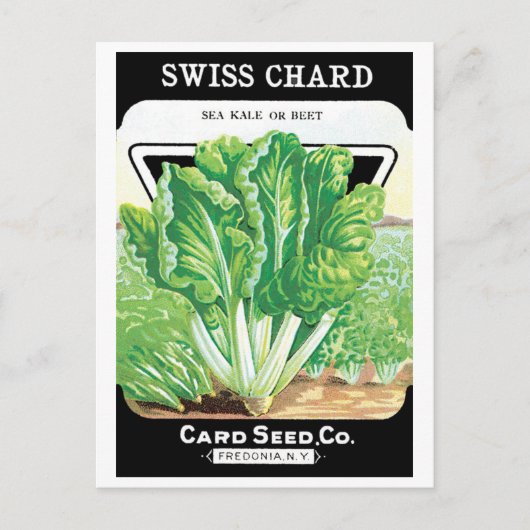 ヴィンテージシードパケットラベルアート、スイスチャードベジス ポストカード (正面)