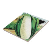 ヴィンテージシードパケットラベルアート、スイートホワイトコーン タイル (側面)