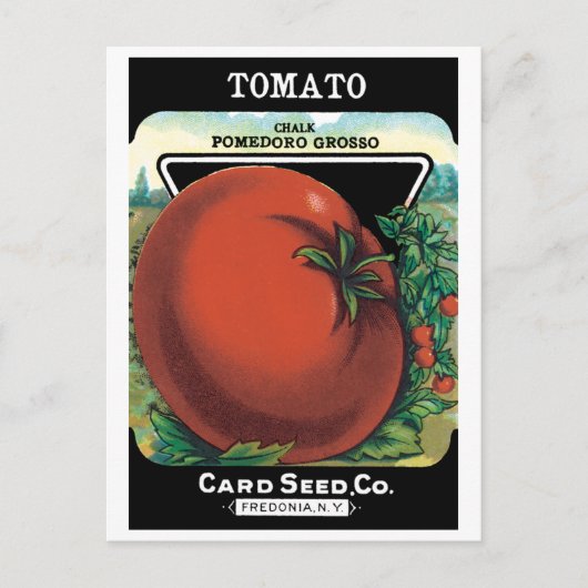 ヴィンテージシードパケットラベルアート、トマトポモドロ ポストカード (正面)