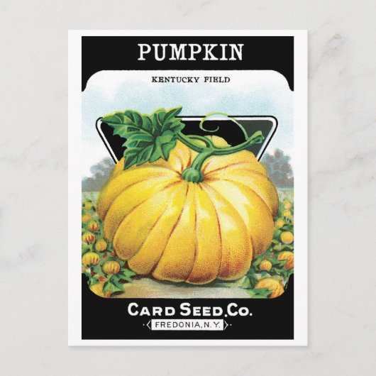 ヴィンテージシードパケットラベルアート、ハロウィンカボチャ ポストカード (正面)