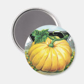 ヴィンテージシードパケットラベルアート、ハロウィンカボチャ マグネット (正面/裏面)