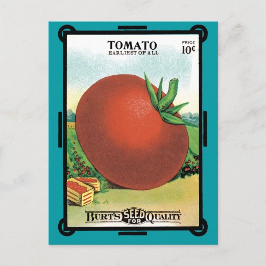 ヴィンテージシードパケットラベルアート、バートのシードトマト ポストカード (正面)