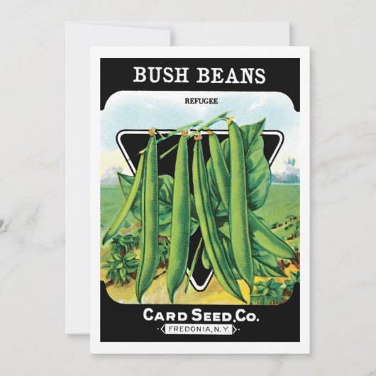 ヴィンテージシードパケットラベルアート、ブッシュ豆の野菜 (正面)