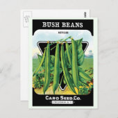 ヴィンテージシードパケットラベルアート、ブッシュ豆の野菜 ポストカード (正面/裏面)