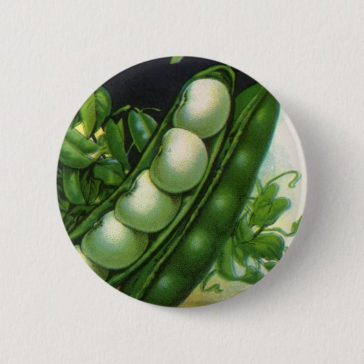 ヴィンテージシードパケットラベルアート、ポールリマ豆 缶バッジ (正面)