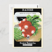 ヴィンテージシードパケットラベルアート、緋の大根 ポストカード (正面/裏面)