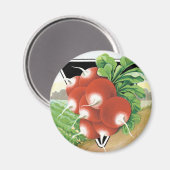 ヴィンテージシードパケットラベルアート、緋の大根 マグネット (正面/裏面)