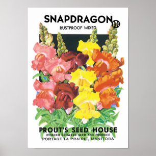 ヴィンテージシードパケットラベルアート、Snapdragon Flowers ポスター