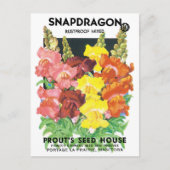ヴィンテージシードパケットラベルアート、Snapdragon Flowers ポストカード (正面)