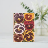 ヴィンテージシードパケットラベル、ガーデンパンジー花 ポストカード (スタンド正面)