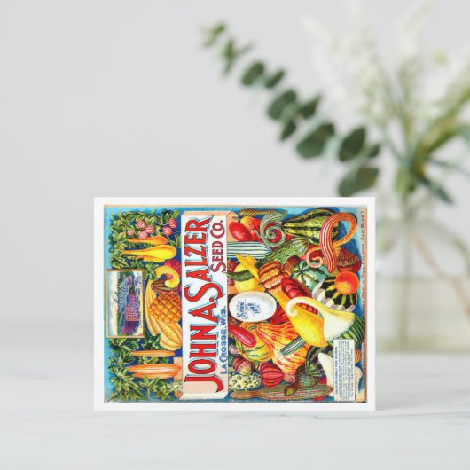 ヴィンテージシードパケット。 ポストカード (スタンド正面)