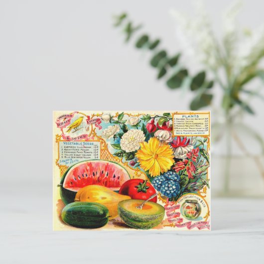 ヴィンテージシードパケット。 ポストカード (スタンド正面)