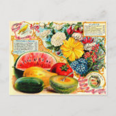 ヴィンテージシードパケット。 ポストカード (正面)