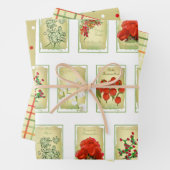 ヴィンテージシードパックと類別済み ラッピングペーパーシート (インサイチュ)