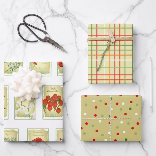 ヴィンテージシードパックと類別済み ラッピングペーパーシート (正面)